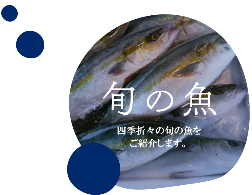 旬の魚　四季折々の旬の魚をご紹介します。